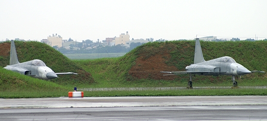 F-5 decoys at CCK