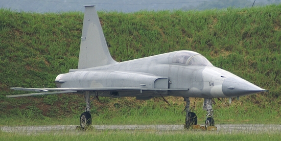 F-5 decoy at CCK