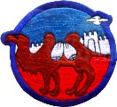 Badge of the 10th AG