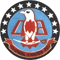 Badge of the 48th TG