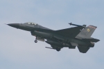F-16A 6619 (Photo by Jason Tu)