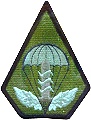 Army Aviation & Special Force Command (Arm Badge)